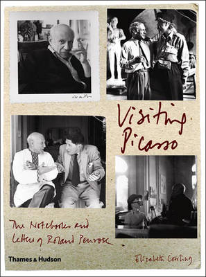 Book cover for Visiting Picasso: Notebooks and Lette