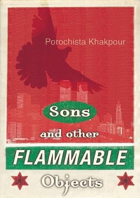 Book cover for Sons and Other Flammable Objects