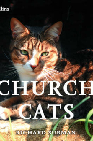 Cover of Church Cats