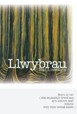 Book cover for Llwybrau