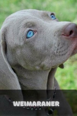 Cover of Weimaraner