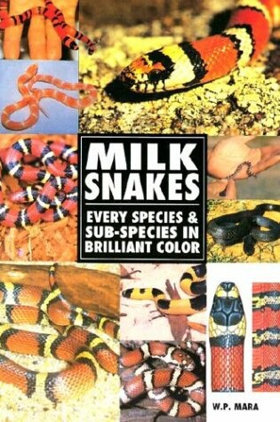 Cover of Milk Snakes