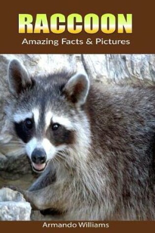 Cover of Raccoon