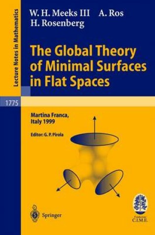 Cover of The Global Theory of Minimal Surfaces in Flat Spaces