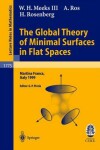 Book cover for The Global Theory of Minimal Surfaces in Flat Spaces