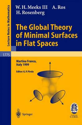 Book cover for The Global Theory of Minimal Surfaces in Flat Spaces