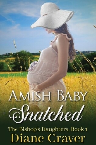 Cover of Amish Baby Snatched