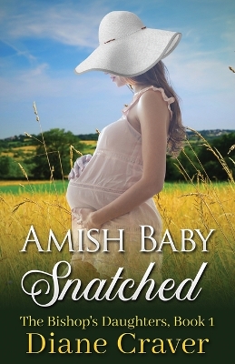 Book cover for Amish Baby Snatched