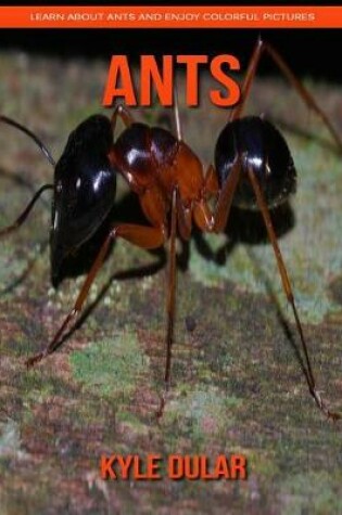 Cover of Ants! Learn about Ants and Enjoy Colorful Pictures