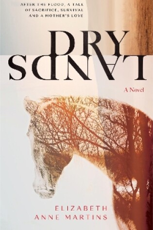 Cover of Dry Lands