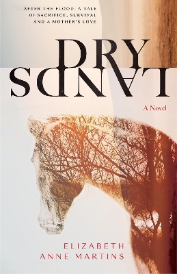Book cover for Dry Lands