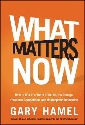 Book cover for What Matters Now