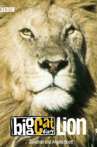 Cover of Big Cat Diary: Lion