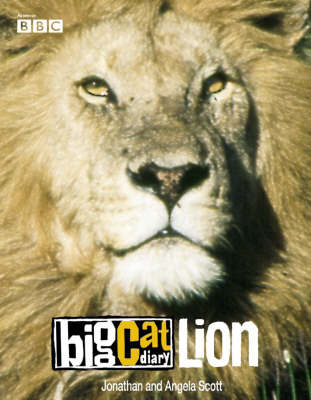 Book cover for Big Cat Diary: Lion