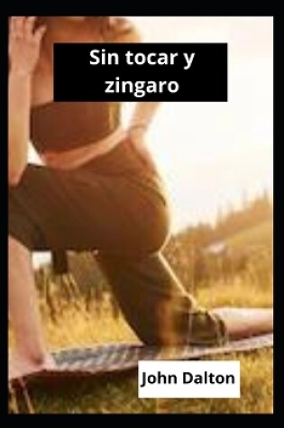 Cover of Sin tocar y zingaro