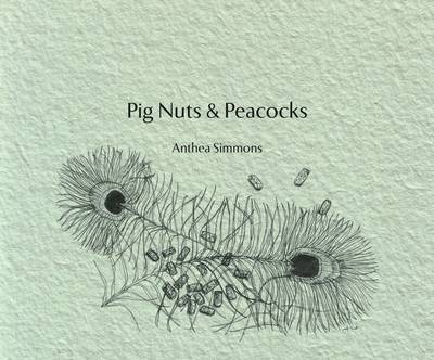 Book cover for Pig Nuts and Peacocks