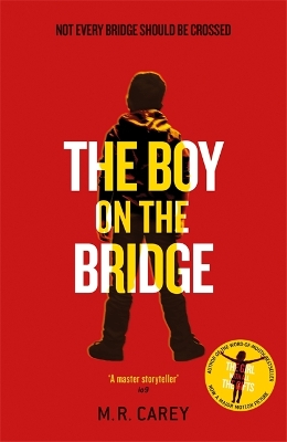 Book cover for The Boy on the Bridge