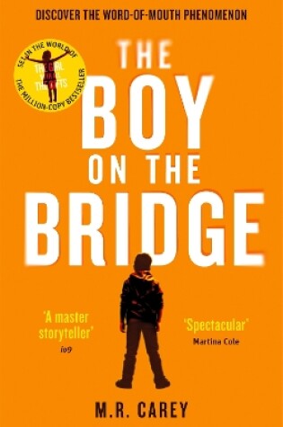 Cover of The Boy on the Bridge