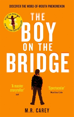 Book cover for The Boy on the Bridge