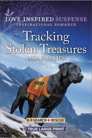 Cover of Tracking Stolen Treasures