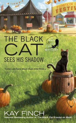 Cover of The Black Cat Sees His Shadow