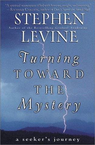 Book cover for Turning toward the Mystery