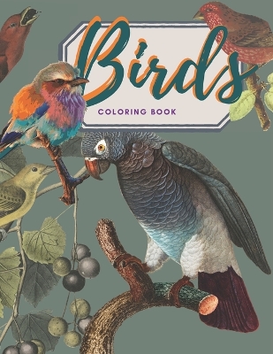 Book cover for Coloring book of Heaven Birds
