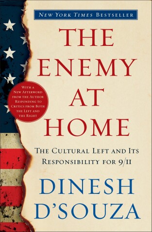 Book cover for The Enemy At Home