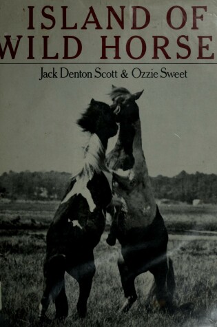 Cover of Island of Wild Horses