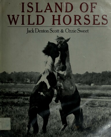 Book cover for Island of Wild Horses