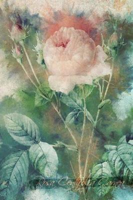 Book cover for Rosa Centifolia Carnea