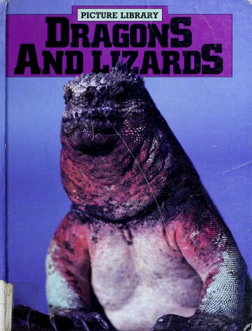 Cover of Dragons and Lizards