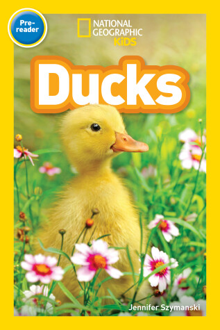 Book cover for Ducks (National Geographic Kids Readers, Pre-Reader)