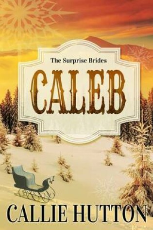 Cover of The Surprise Brides
