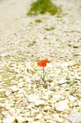 Cover of A Single Poppy Growing in a Road, for the Love of Flowers