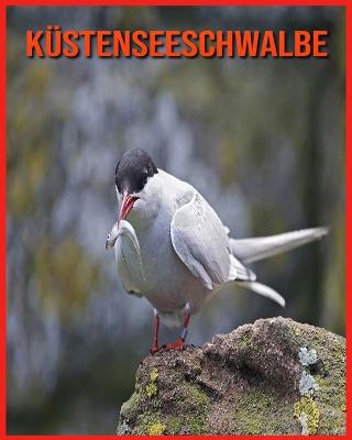 Book cover for Küstenseeschwalbe