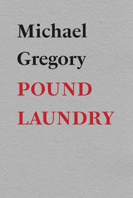 Book cover for Pound Laundry