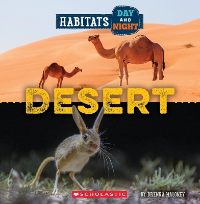 Cover of Desert (Wild World: Habitats Day and Night)