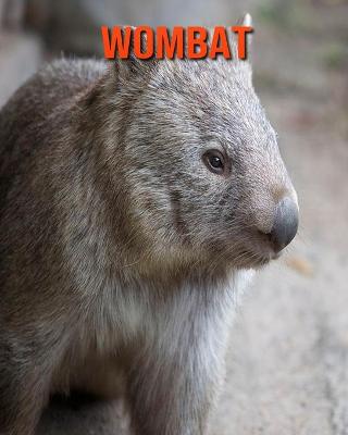 Book cover for Wombat