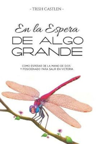 Cover of En la espera de algo grande