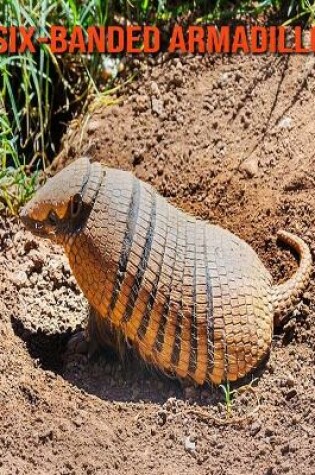 Cover of Six-Banded Armadillo