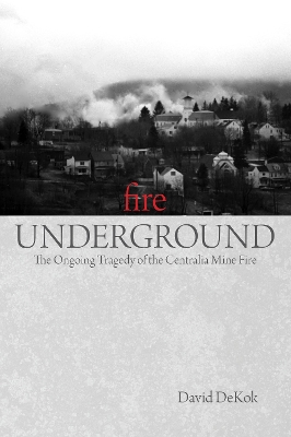 Book cover for Fire Underground