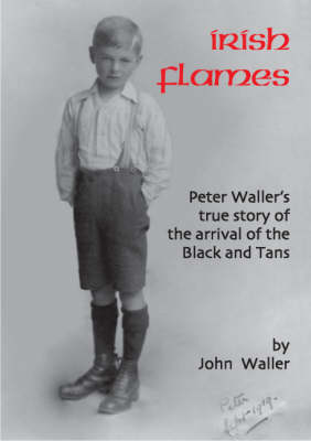 Book cover for Irish Flames