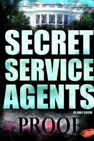 Cover of Secret Service Agents
