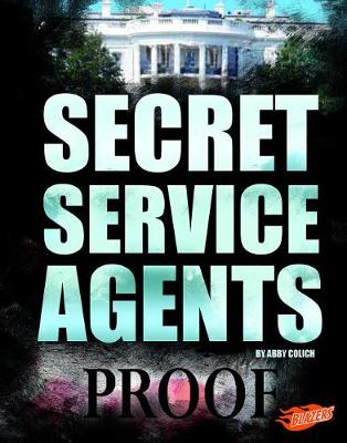 Book cover for Secret Service Agents