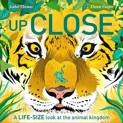 Book cover for Up Close