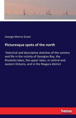 Book cover for Picturesque spots of the north