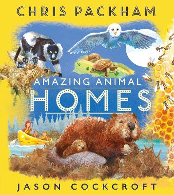 Book cover for Amazing Animal Homes