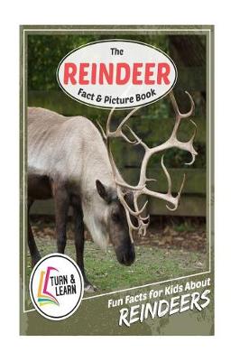 Book cover for The Reindeer Fact and Picture Book