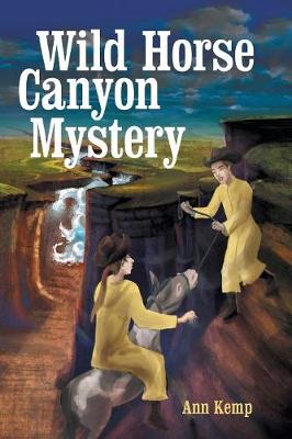 Book cover for Wild Horse Canyon Mystery